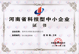科技型企業(yè)證書(shū)
